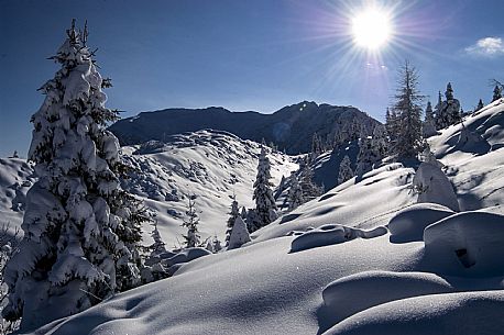 Monte Zoncolan